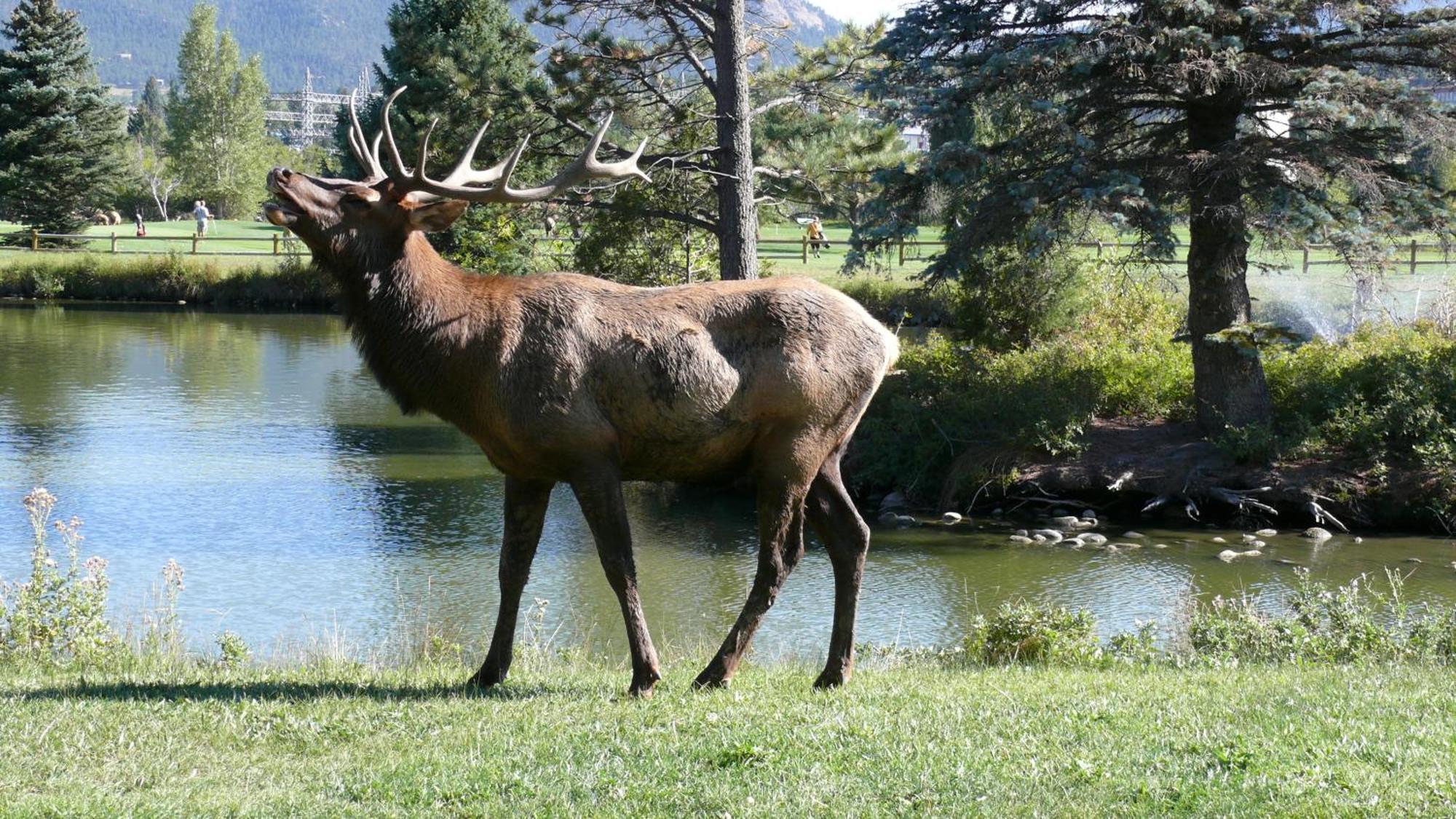 Discovery Lodge Estes Park Luaran gambar